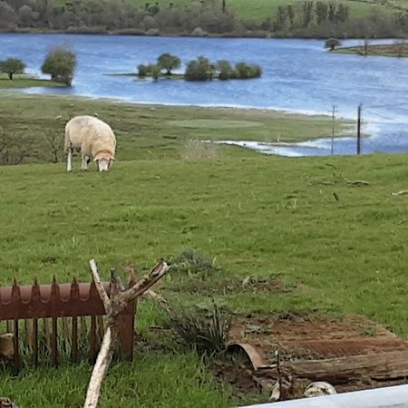Hawthorn Lodge Belturbet Eksteriør billede