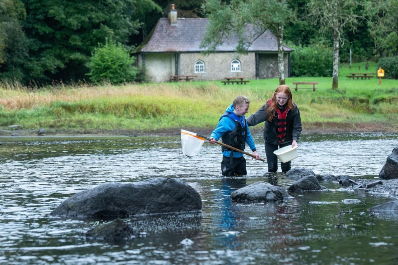 Hawthorn Lodge Belturbet Eksteriør billede