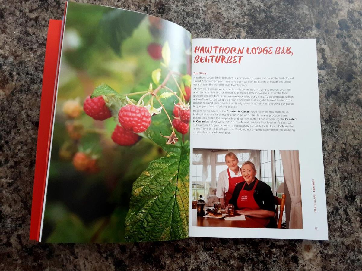 Hawthorn Lodge Belturbet Eksteriør billede