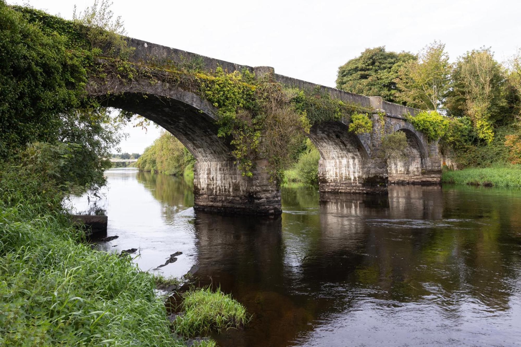 Hawthorn Lodge Belturbet Eksteriør billede
