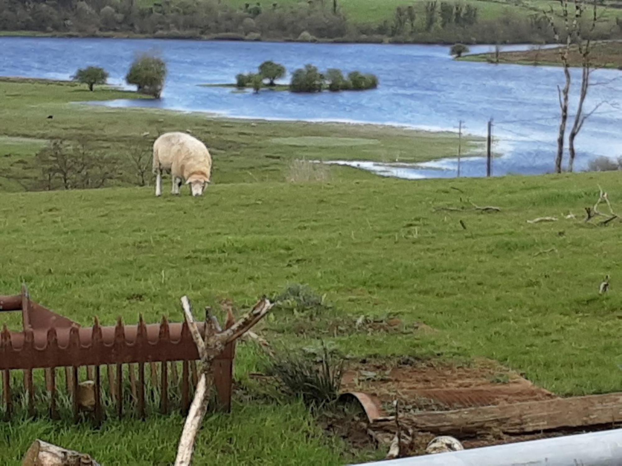 Hawthorn Lodge Belturbet Eksteriør billede