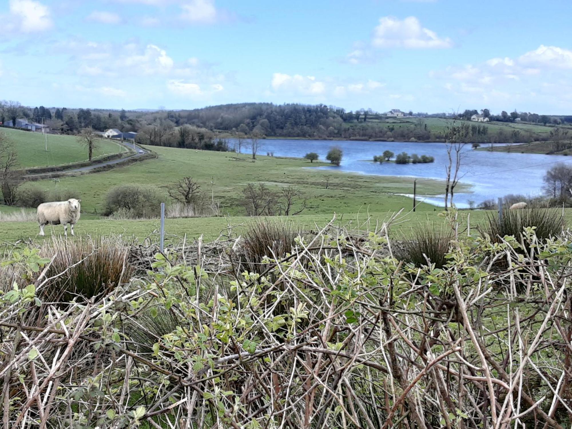 Hawthorn Lodge Belturbet Eksteriør billede